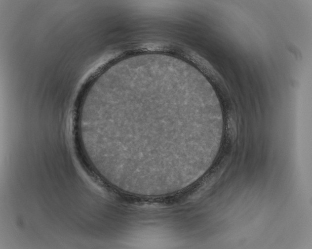 X0000113110730200910091159