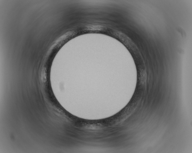 X0000113110731200910091159