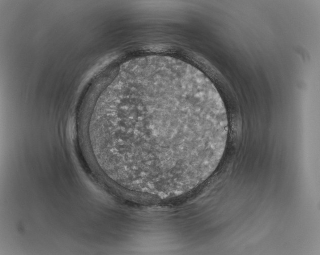 X0000113110734200910091159