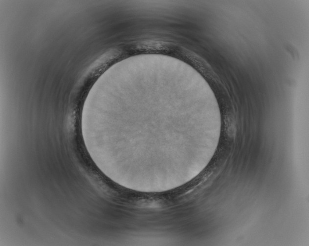 X0000113110735200910091159