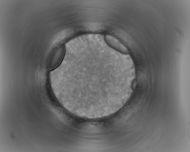 X0000113110736200910091159