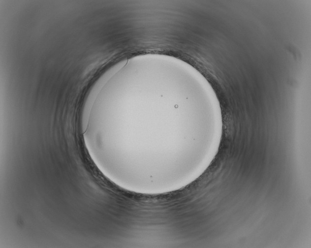 X0000113110740200910091159