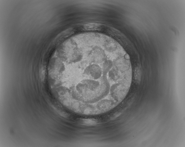 X0000113110741200910091159