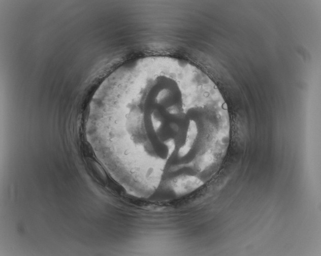 X0000113110742200910091159