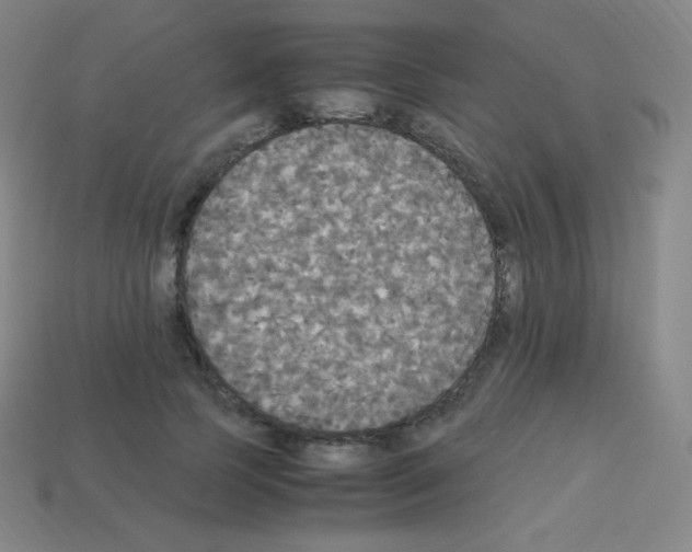 X0000113110745200910091159