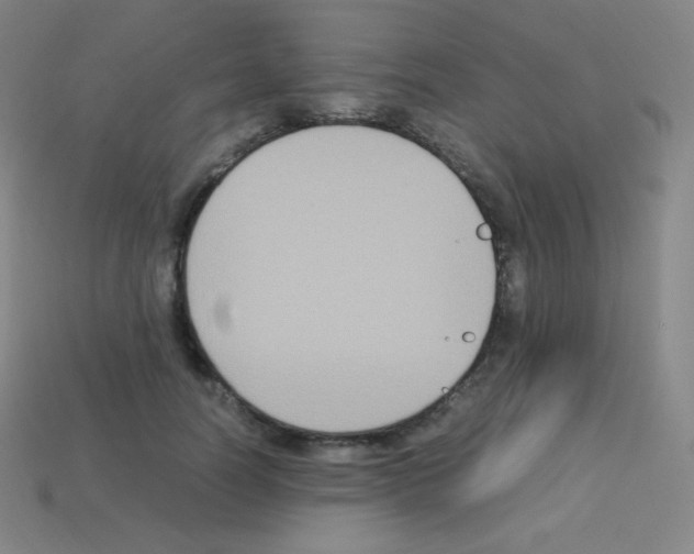 X0000113110746200910091159