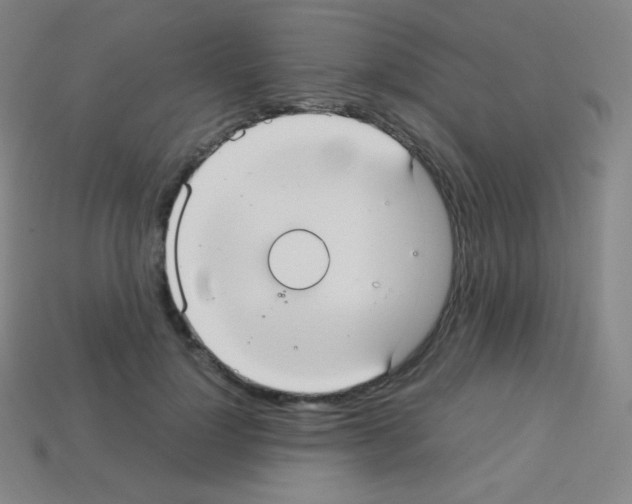 X0000113110748200910091159