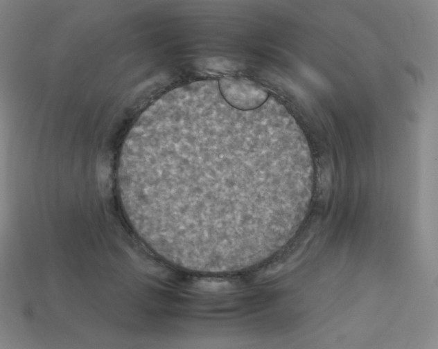 X0000113110749200910091159