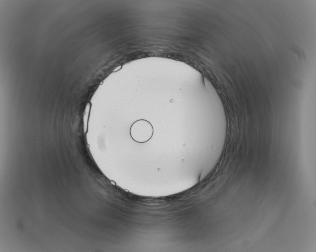 X0000113110750200910091159