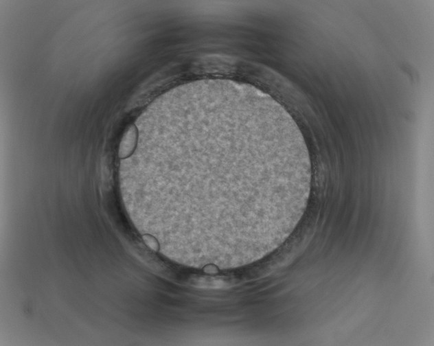 X0000113110751200910091159