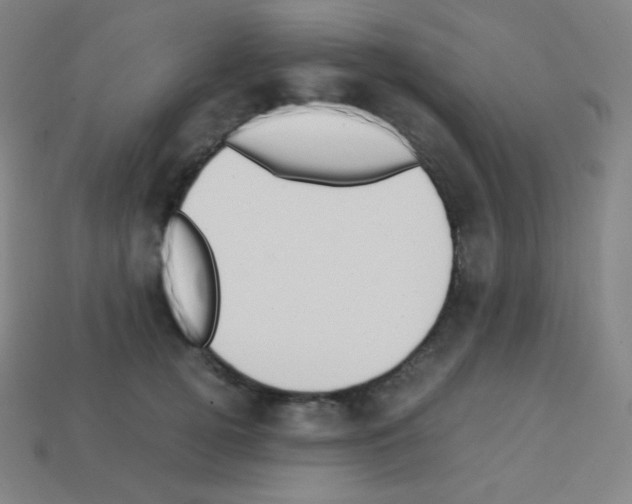 X0000113110752200910091159