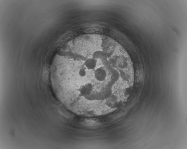 X0000113110753200910091159