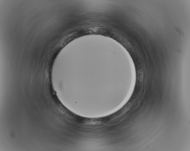 X0000113110754200910091159