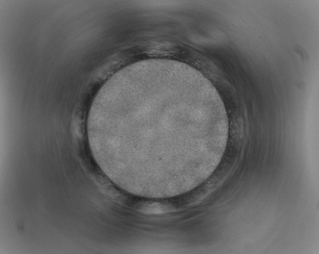 X0000113110755200910091159
