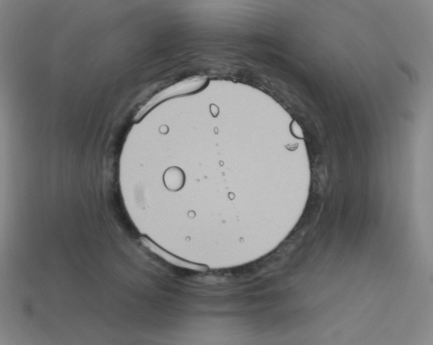 X0000113110756200910091159