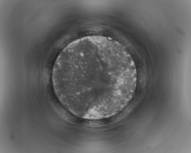 X0000113110758200910091159