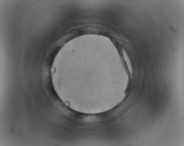 X0000113110759200910091159