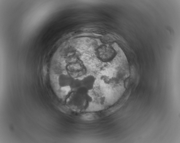 X0000113110761200910091159