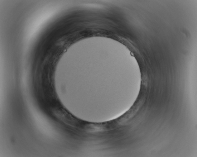 X0000113110763200910091159