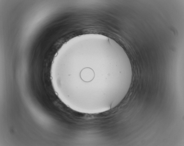 X0000113110764200910091159