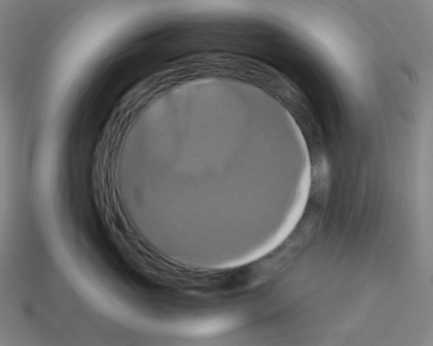 X0000113110765200910091159