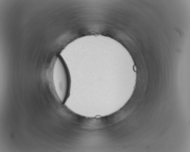 X0000113110768200910091159