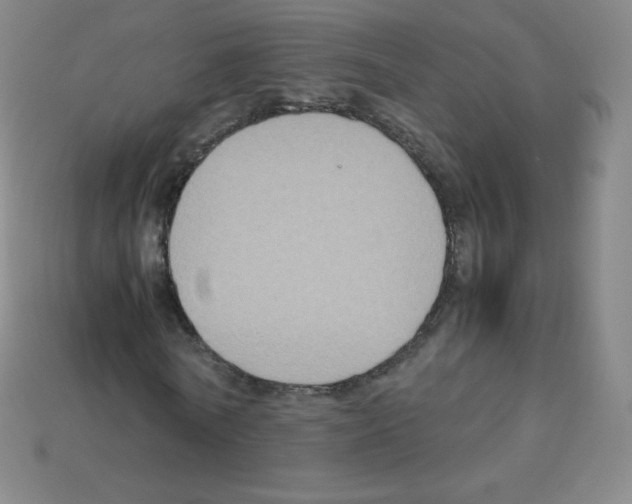 X0000113110770200910091159