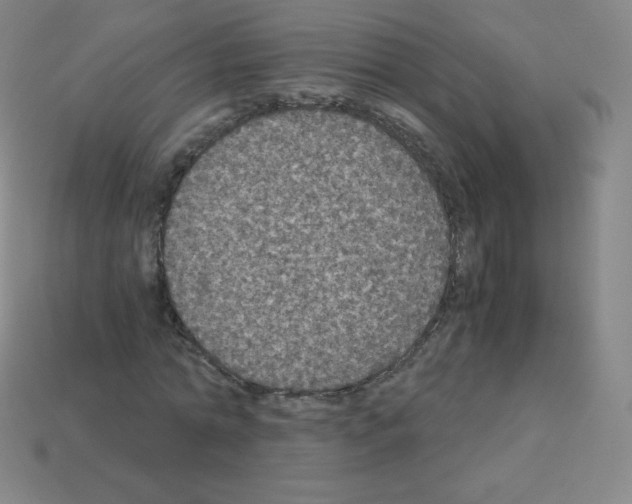 X0000113110774200910091159