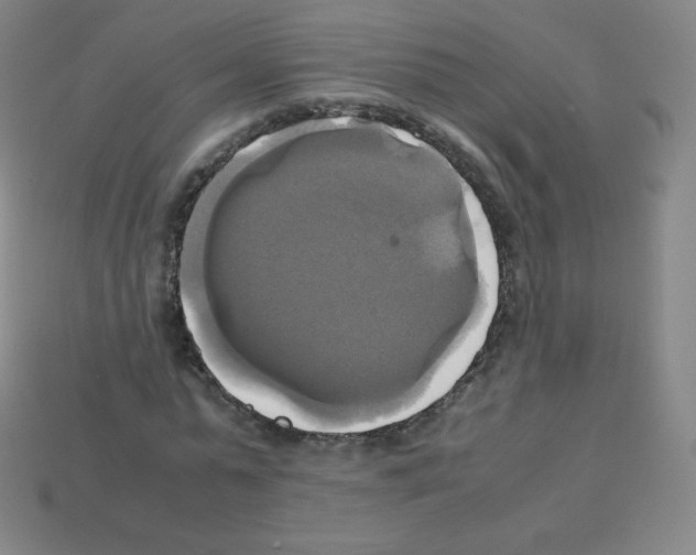 X0000113110775200910091159