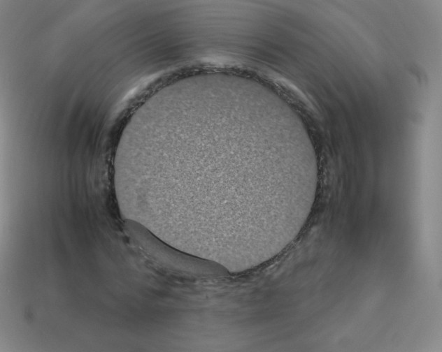 X0000113110776200910091158