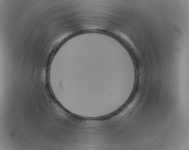 X0000113110777200910091158