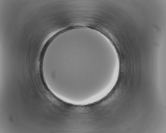 X0000113110779200910091158