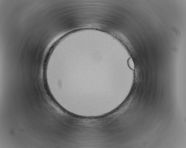 X0000113110780200910091158