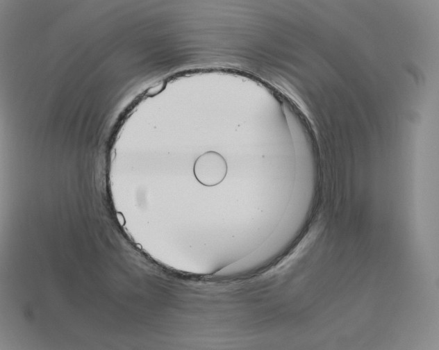 X0000113110781200910091158