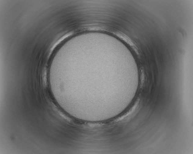 X0000113110782200910091158