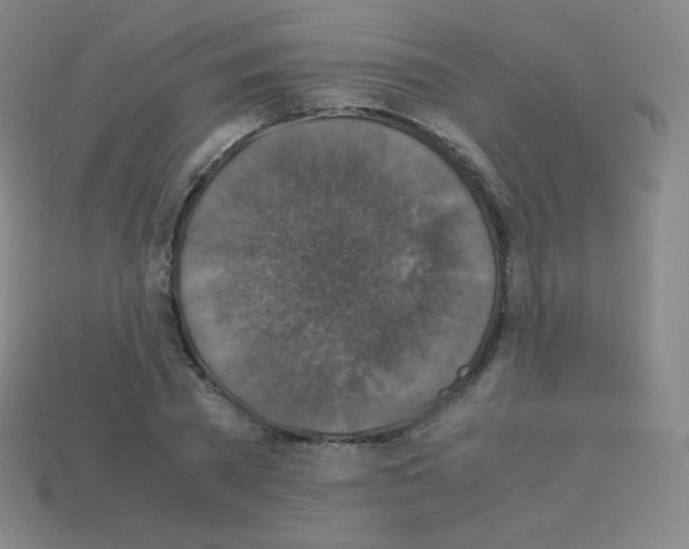 X0000113110785200910091158