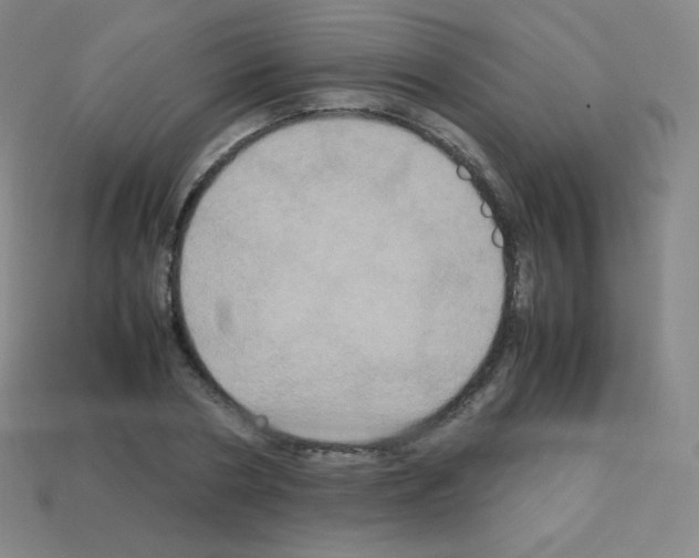 X0000113110786200910091158