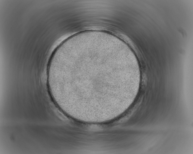 X0000113110787200910091158
