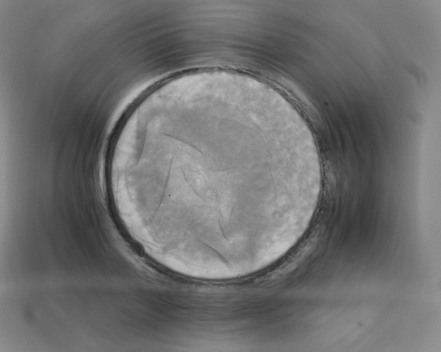 X0000113110788200910091158