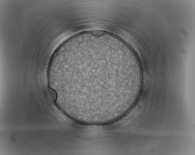 X0000113110789200910091158