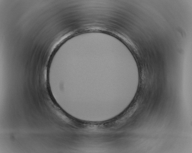 X0000113110790200910091158