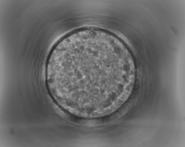 X0000113110791200910091158