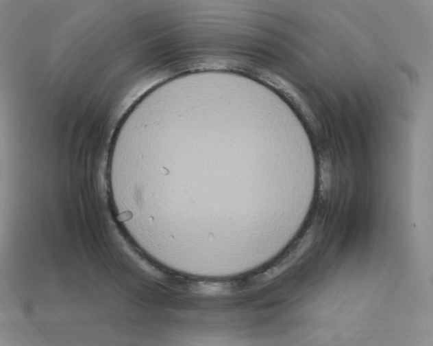 X0000113110794200910091158
