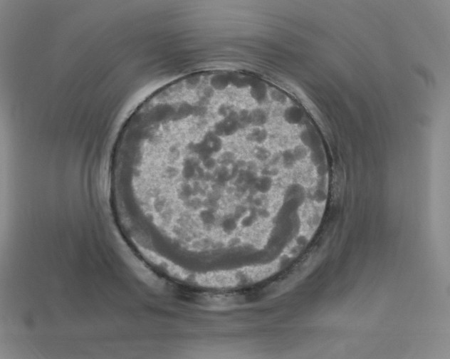X0000113110795200910091158