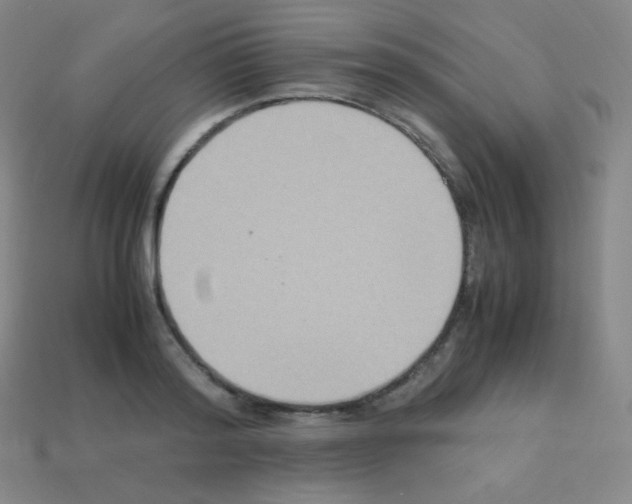 X0000113110796200910091158