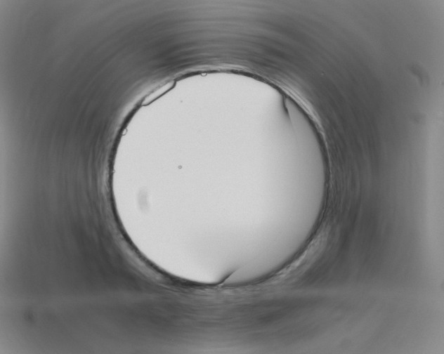 X0000113110797200910091158