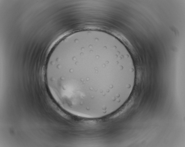 X0000113110798200910091158
