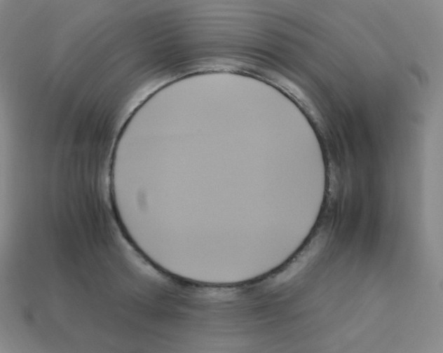 X0000113110802200910091158