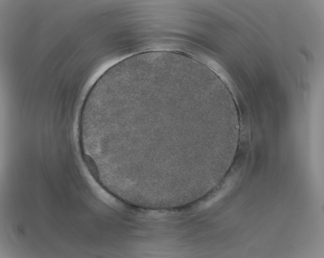 X0000113110803200910091158