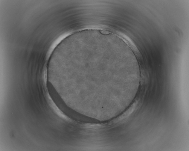 X0000113110804200910091158